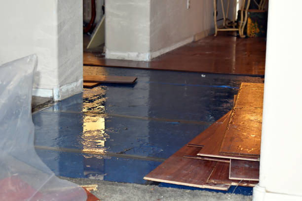 Professional Sewage Cleanup technician working in Enterprise, WV